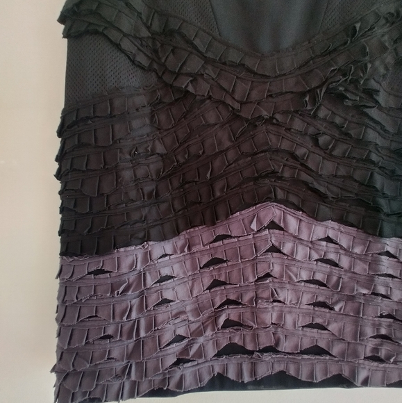 Bcbgmaxazria Runway 2009 Silk Mesh Tier Skirt 4 - Picture 8 of 9